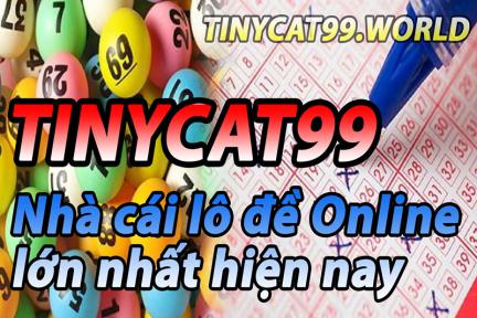 Tinycat99 là nhà cái lô đề online lớn nhất hiện nay