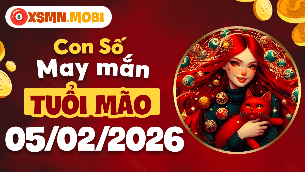 Tuổi Mão 05/02: Mã số kết nối mở rộng mạng lưới quý nhân