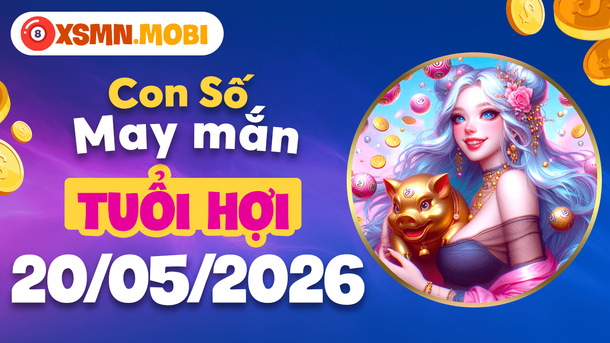 Con số may mắn tuổi Hợi ngày 20/05/2026: Vạn sự như ý